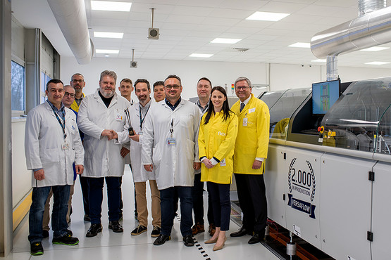 Strong partners since 2008: the Flex team in Hungary with Tamás Börcz (fourth from right), General Manager of Flex in Zalaegerszeg, the guests from Ersa in Yellow and the Hungary representative Csaba Peto from Microsolder Kft.; Photo: Flex Ltd.