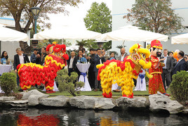 Lion Dance for blessings and flourishing business